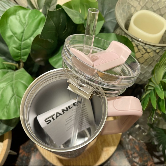 Aster Stanley Tumbler 40oz. Target June 2024 Collection - Picture 8 of 14